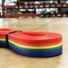 HKOutdoors Narrow Goods 1" Polyester Webbing 1500 Lb - Rainbow