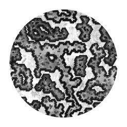 Ripstop By The Roll 1.1 Oz Silpoly - HexCam® Tarps/Shelters